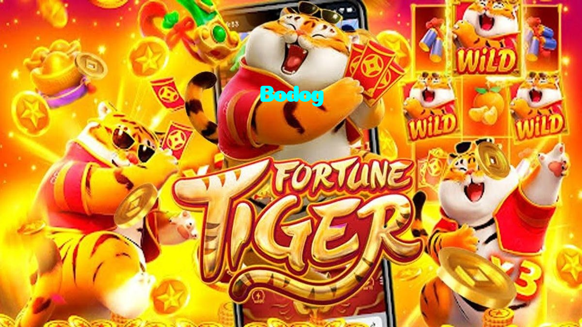 Bodog casino presented on mobile device in Pakistan with slots and live games